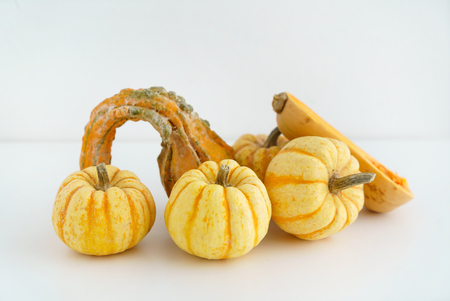 pumpkins on the white backgroundの写真素材