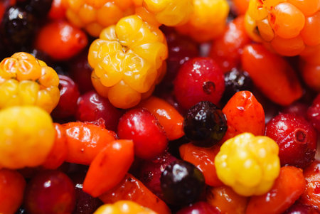 different kinds of berries