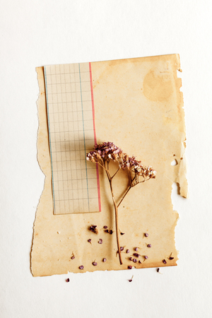 vintage paper backgroundの写真素材