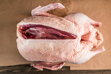 raw duckの写真素材