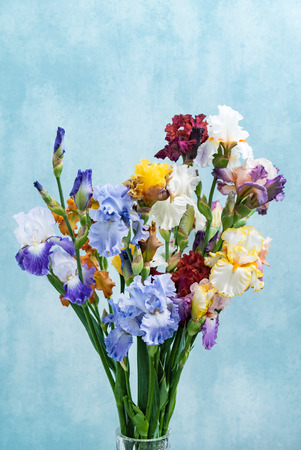 bunch of colorful irisesの写真素材