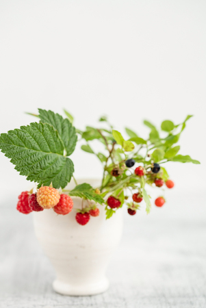 forest berries with leavesの写真素材