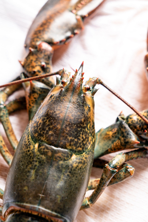 raw lobster on tableの写真素材