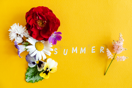 nice summer flowersの写真素材