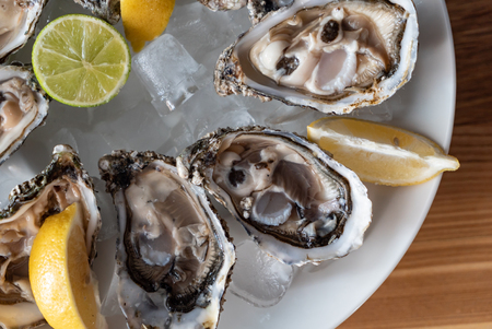 Oyster on the ice on the tableの写真素材