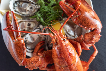 Cooked lobster closeupの写真素材