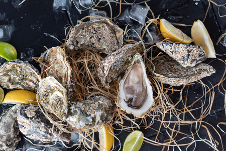 Open oysters ready for consuming, country-styleの写真素材