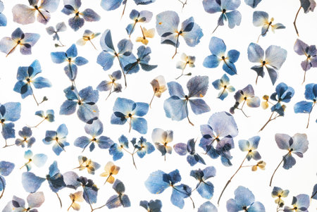flower on the white