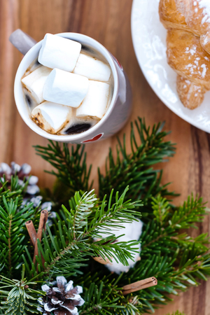 cocoa with marshmallowの写真素材