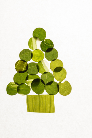 Christmas tree from leavesの写真素材
