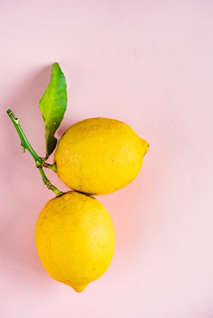Organic ripe lemons on the pinkの写真素材