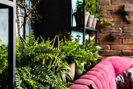 stylish interior filled a lot of plants. Space of nature lover