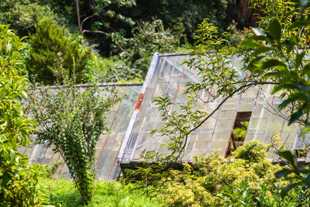 old greenhouse in the gardenの写真素材