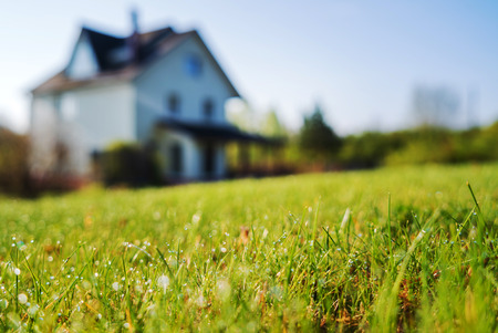 cottage house and young lawn