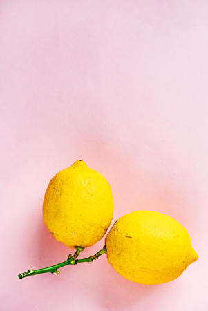 Organic ripe lemons on the pinkの写真素材