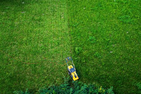 Working men working lawn careの写真素材