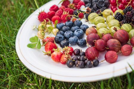 different kinds on berries on white plateの写真素材