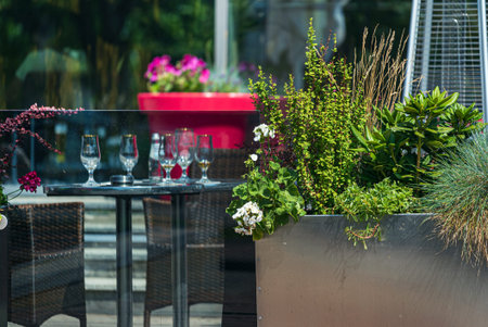 nice flowers in the containersの写真素材