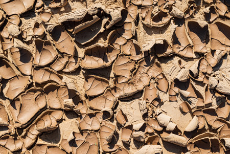 Detail Of Dry Ground On The Desert - Texture / Pattern