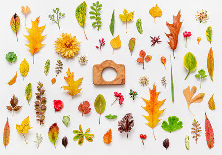 Autumn Flat Lay on the White