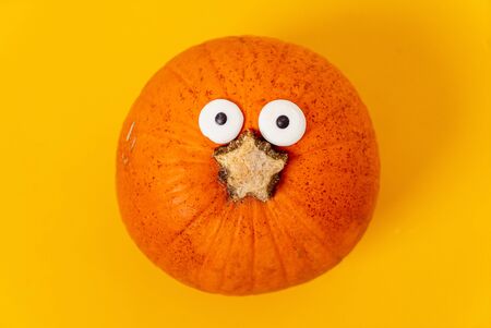 organic pumpkin on the yellow backgroundの写真素材