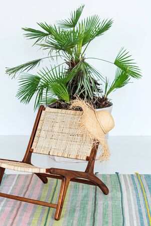 empty chair, strawhat and palmの写真素材