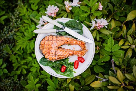 grilled salmon with salad and wineの写真素材
