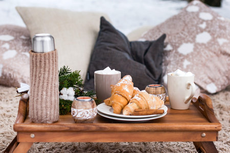 winter picnic in the forest