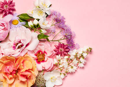 nice flowers on the pink backgroundの写真素材