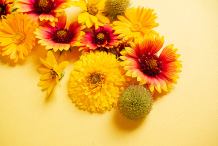 nice flowers on the yellow background