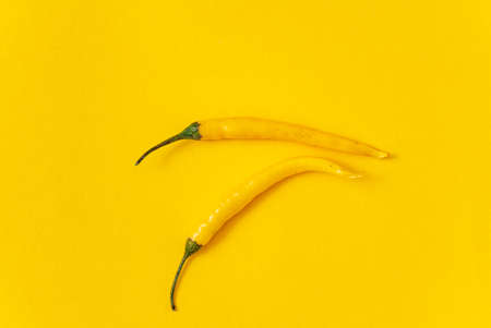 hot yellow pepper on the yellow backgroundの写真素材