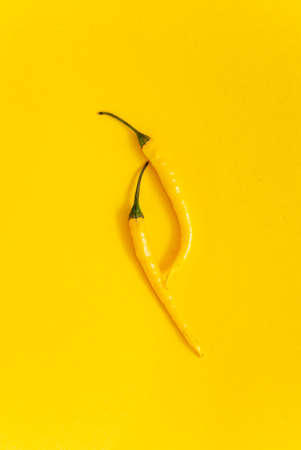 hot yellow pepper on the yellow backgroundの写真素材