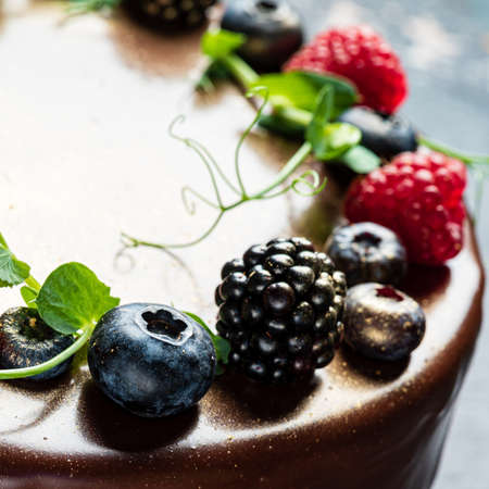 chocolate cake with blackberries and raspberriesの写真素材