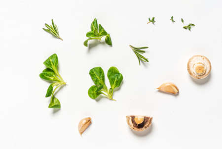 herbs and vegetables on the whiteの写真素材