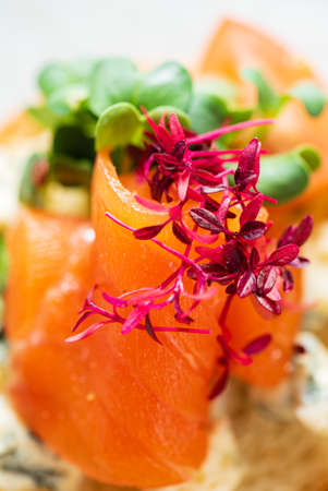 canape with salted salmon and herbsの写真素材