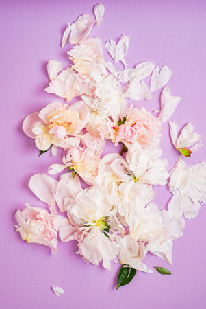 peony petals on the color background