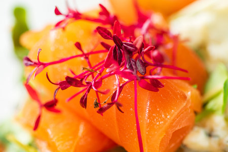 canape with salted salmon and herbs