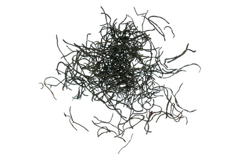 hijiki seaweed on the white background