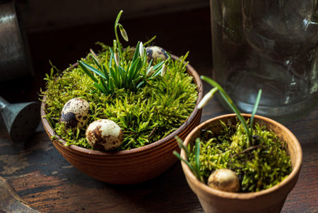 nice spring flowers in the moss