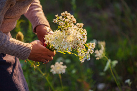 woman with nice white flowersの写真素材