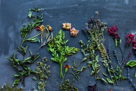 summer aroma herbs on black background