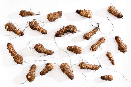 organic Jerusalem Artichokes on the white backgroundの写真素材