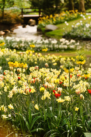 spring garden
