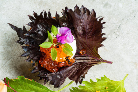 gourmet canape with cheese and herbs