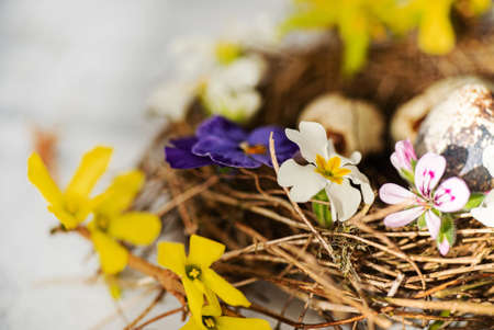 Easter nest with spring flowersの写真素材
