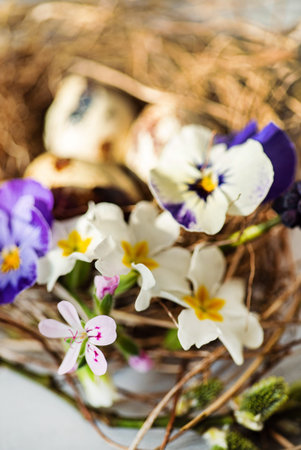 Easter nest with spring flowers