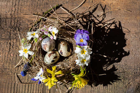 Easter nest with spring flowersの写真素材