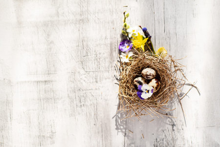 Easter nest with spring flowers