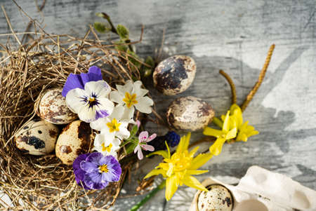 Easter nest with spring flowersの写真素材