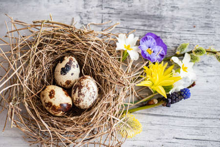 Easter nest with spring flowersの写真素材